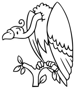 Tô Màu Chim Kền Kền