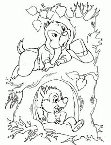 Tô Màu Chip và Dale
