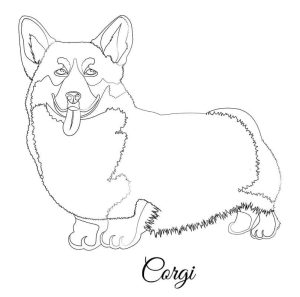 Tô Màu Chó Corgi