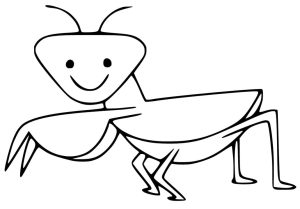 Tô Màu Con Bọ Ngựa