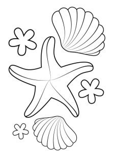 Tô Màu Con Sao Biển