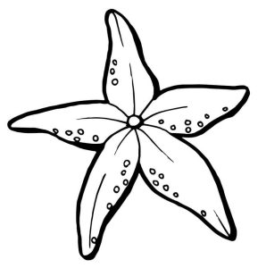 Tô Màu Con Sao Biển