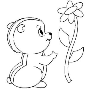 Tô Màu Con Sóc Chuột