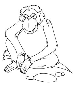 Tô Màu Con Đười Ươi