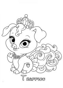 Tô Màu Palace Pets