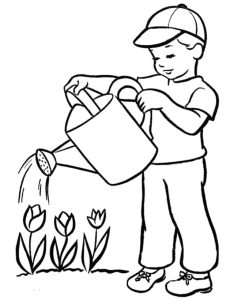 Tô Màu Bình Tưới Nước