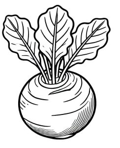 Tô Màu Củ Su Hào