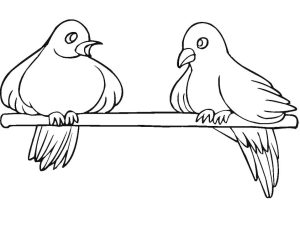 Tô Màu Chim Bồ Câu