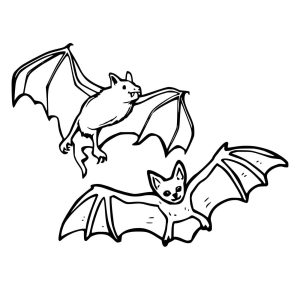 Tô Màu Con Dơi
