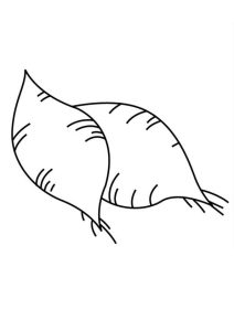 Tô Màu Củ Khoai Lang