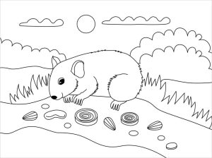 Tô Màu Hamster