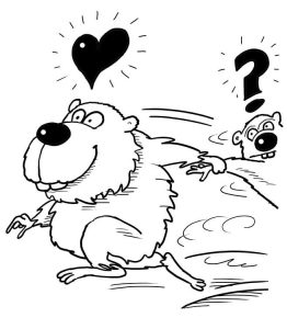 Tô Màu Hamster