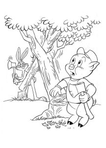 Tô Màu Heo Porky