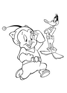 Tô Màu Heo Porky