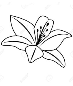 Tô Màu Hoa Loa Kèn