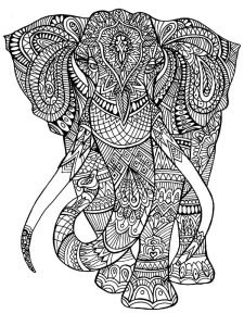 Tô Màu Dành Cho Người Lớn