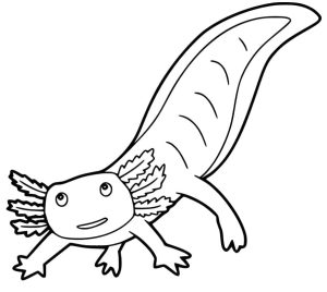 Tô Màu Axolotl