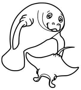 Tô Màu Lợn Biển