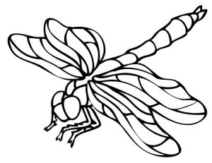 Tô Màu Con Chuồn Chuồn