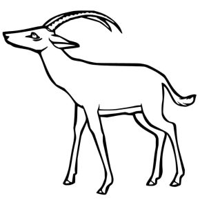 Tô Màu Con Linh Dương