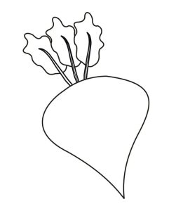 Tô Màu Củ Dền