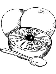 Tô Màu Quả Bưởi
