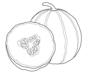 Tô Màu Quả Dưa Gang