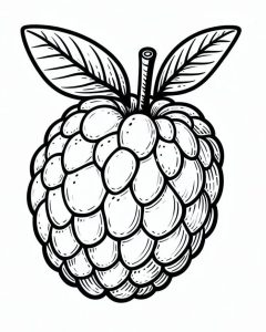 Tô Màu Quả Mãng Cầu