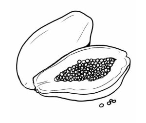 Tô Màu Quả Đu Đủ