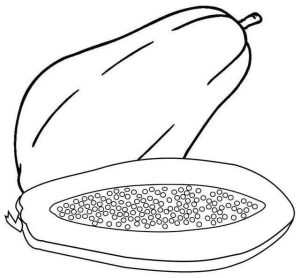 Tô Màu Quả Đu Đủ