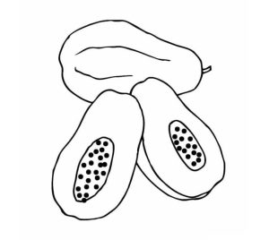 Tô Màu Quả Đu Đủ