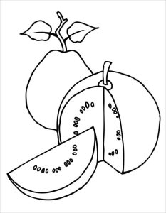 Tô Màu Quả Ổi