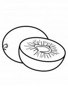 Tô Màu Quả Kiwi