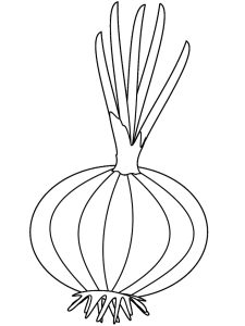 Tô Màu Củ Hành