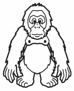 Tô Màu Con Đười Ươi