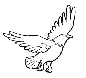 Tô Màu Chim Đại Bàng