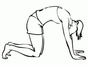Tô Màu Yoga