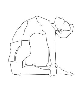 Tô Màu Yoga