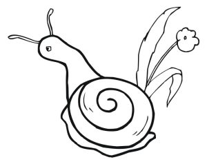 Tô Màu Con Ốc Sên